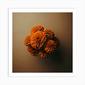 Orange Flowers On A Brown Background Art Print