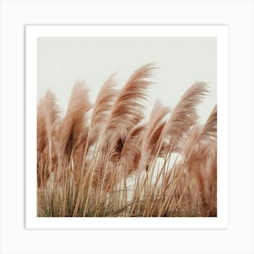 Pink Reeds Art Print