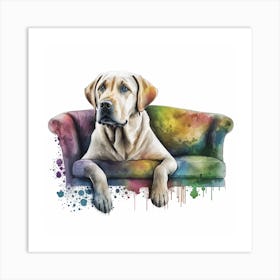 Dog Sitting On Couch Art Print