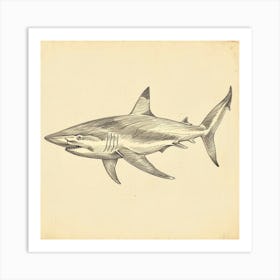 Vintage Shark Illustration 3 Art Print