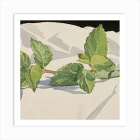 Mint Leaves Art Print