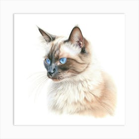 Colourpoint Cat Portrait 2 Art Print