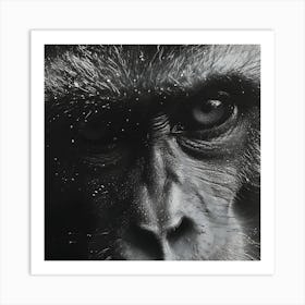 Monkey Closeup Stippling Style Art Print