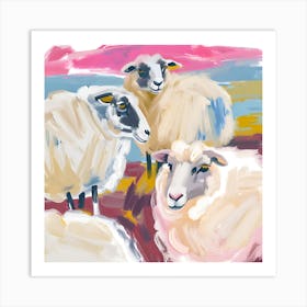 Merino Sheep 01 Art Print