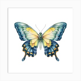 Butterfly Art Print