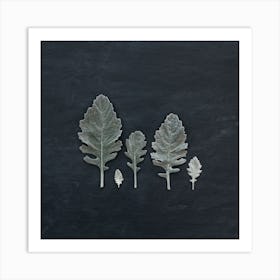 Minimal Leaves On Black Square Art Print