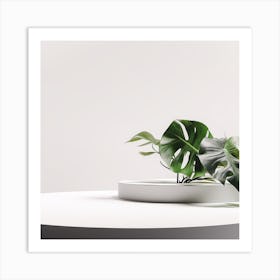 White & Monstera Product background 1 Art Print