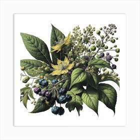 Botanical illustration of a leafy plant Art Print