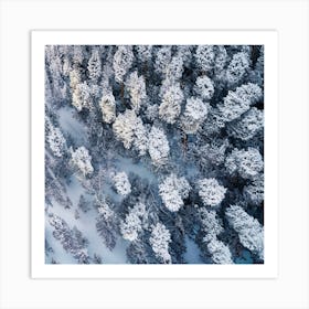 Aerial View Of Snowy Forest 1 Art Print