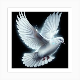 Dove on black background Art Print