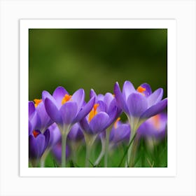 Spring flowers 1 Art Print