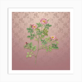 Vintage Rose Corymb Botanical on Dusty Pink Pattern n.0147 Art Print