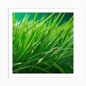 Green Grass 26 Art Print