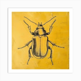 Beetle 11 Art Print