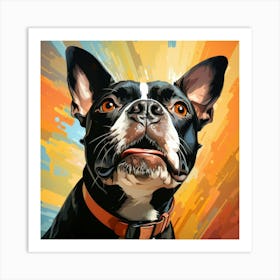 Boston Terrier 7 Poster