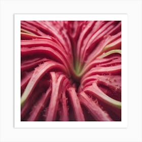 Close Up Of A Red Flower Art Print