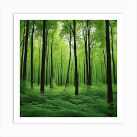 Green Forest Photo Art Print