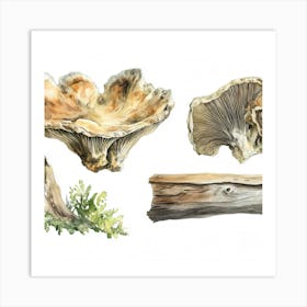 Fungus 4 Art Print