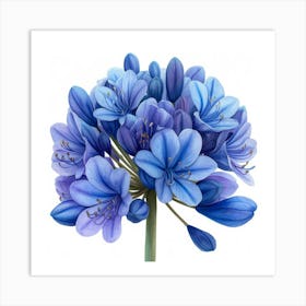 Blue Hydrangea 1 Art Print