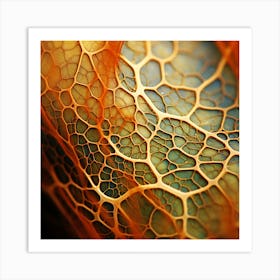 Microscopical Structure Of Leaf Cells Art Print