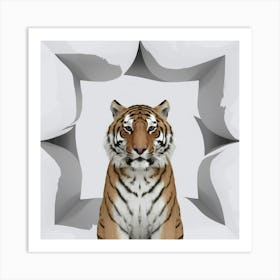 Tiger In A Frame Art Print