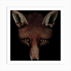 Fox DARCK Art Print