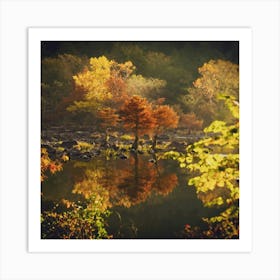 Autumn Trees Reflected In A Lake Art Print