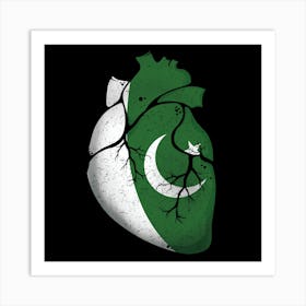 Pakistan Heart Flag Art Print