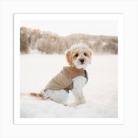 Dog In The Snow Art Print