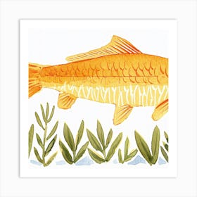 Carp Illustration Art Print