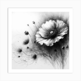 Poppy Art Print