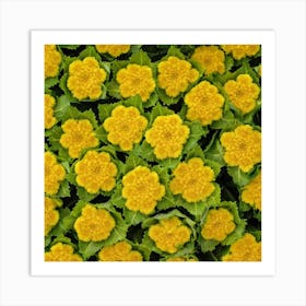 Yellow Carnations Art Print