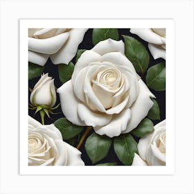 White Roses 2 Art Print