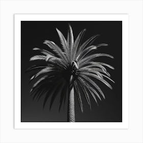 Palm Tree 2 Art Print