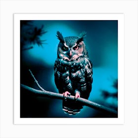 Owl Perched On Branch Art Print