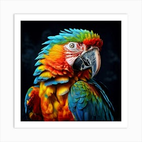 Watercolor Macaw Studio Photography Complex Details High Detail Art Print