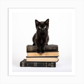 Black Kitten On Books Isolated On White Art Print