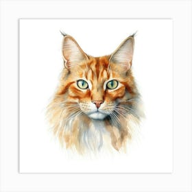 Somali Cat Portrait Art Print