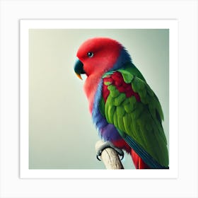 Colorful Parrot 3 Art Print