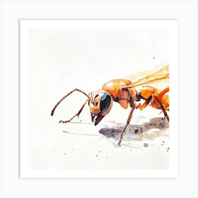 Wasp Watercolor Illustration Art Print