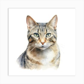 Ukrainian Bakhuis Cat Portrait 3 Art Print