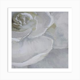 White Rose Art Print