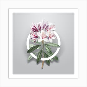 Vintage Common Rhododendron Minimalist Floral Geometric Circle on Soft Gray n.0173 Art Print