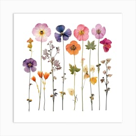 Dried Wild Flowers 27 Art Print