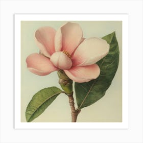 Magnolia 2 Art Print