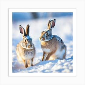 Two Hares In The Snow Art Print