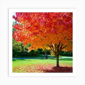 Anecdote Of An Autumnal Oak Tree Bathed In Brilliant Violet Hues In A Mid September Setting Leaves (3) Art Print