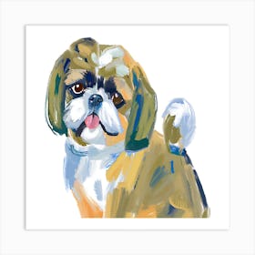 Shih Tzu 01 Art Print