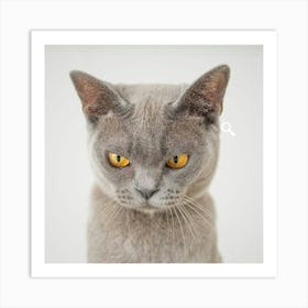 British Shorthair Cat Art Print