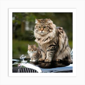 Cat And A Kitten Art Print